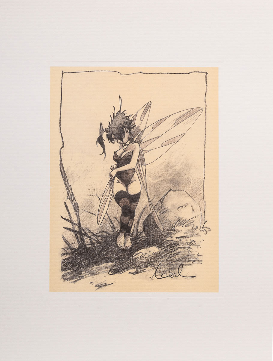 Loisel Art Print (signed or unsigned): Tinker Bell smoothes her wing - Framed print unsigned